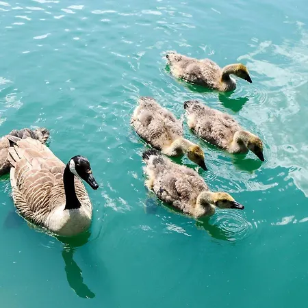 Hot Tub 5 Star Country Park