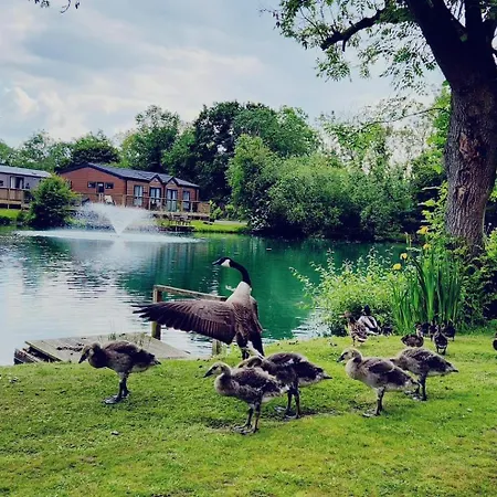 Hot Tub 5 Star Country Park